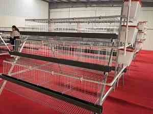 Cage à poules en acier en forme de A, multi-niveaux, escalonnée et empilable, galvanisée à chaud/à froid pour l'élevage domestique - Product Image 6