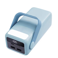 Banque d'alimentation 12 volts Best Giant Premium Retail 50 000, 2 banques d'alimentation supérieures à 50 000 mAh avec lumière LED