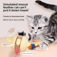 Jouet interactif pour chat en forme de balle, écologique, dessin animé, balle roulante automatique, puzzle pour chats laso, utilisation en intérieur, laser LED pour entraînement des animaux de compagnie en intérieur
