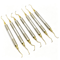 Kit d'instruments dentaires à double extrémité en or pour composite, instruments chirurgicaux de détartrage 7