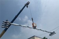 Ventouse électrique de levage pour poutres de construction 300kg 500kg pour panneaux sandwich