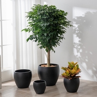 Pot Tanaman Lantai Minimalis Matte Putih Grosir Berbagai Ukuran Pot Bunga Plastik Dekorasi Pohon Ficus Banyan 24/20/37/46cm