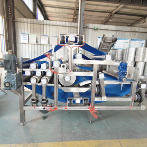 Presse à jus de pomme industrielle à bande transporteuse/Extracteur de jus de type bande transporteuse - Product Image 6