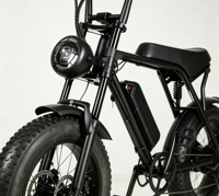Vélo Électrique Tout-Terrain (E-MTB) 20 Pouces en Acier Carbone avec Pneus Larges, 7 Vitesses, Suspension Avant et Frein à Disque pour Adultes - Idéal pour le Tout-Terrain et les Trajets Urbains - BE019