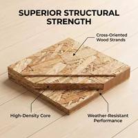 Panneaux OSB E0 9mm 18mm 15mm Contreplaqué 1220mm*2440mm Résistant au déformage Haute Résistance Imperméable pour Coffrage de Construction