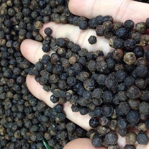 Pimienta Negra de Vietnam de Alta Densidad 550GL 580GL, Granos de Pimienta Enteros Limpios a Máquina, Aroma Intenso, Calidad de Exportación, Especias a Granel - Product Image 1
