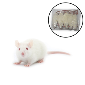 Alimento Deshidratado Premium para Ratas, a Granel, Listo para la Dieta de Aves Depredadoras y Serpientes Carnívoras - Product Image 1