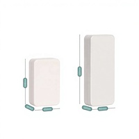 Cajas Rectangulares Pequeñas de Hojalata con Acabado Mate de Lujo, Impresión en Serigrafía de 5 Colores, Caja de Hojalata Metálica para Lápiz Labial, Aceite Esencial, Joyería