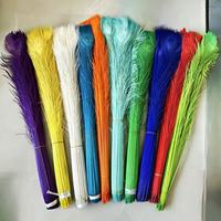 Plumes de paon teintées de 80-90 cm, plumes colorées pour mariage, scène, costume, décoration, usine de plumes HK
