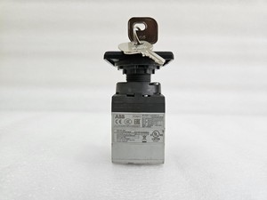 PLC 1SCA160721R100 PLC 1 OC25G06KNBN00S PLC 0AER Interrupteur <span class=keywords><strong>Came</strong></span> - Product Image 5