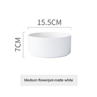 Support de Base de Style mat, cadre en bois, décoration Simple de salon, Pot de fleur succulente en céramique hydroponique sans trou
