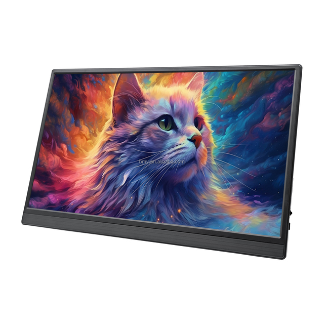 15.6 Inch Portable Display Monitor External Monitor for Laptop with USB C