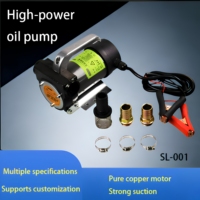 Pompa Transfer Diesel Listrik 12V 24V Portabel Unit Pemompaan Minyak Tekanan Tinggi Self-priming Kit Bahan Bakar Minyak Tanah Pasokan Grosir