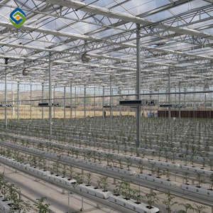 Kosten günstiges Gewächshaus glas landwirtschaft liches Venlo kommerzielles Gewächshaus glas gewächshaus zu verkaufen - Product Image 2