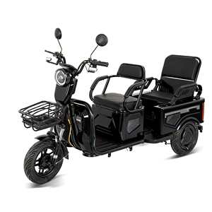 Tricycle motorisé à trois roues pour adultes, à batterie au plomb, pour la famille, avec moteur puissant 60V/1000W - Offre spéciale - Product Image 3