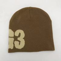 Unisex Outdoor Winter Muts Custom Acryl Jacquard Materiaal Geborduurd Logo Beanies Katoen Stripfiguur Afdrukken