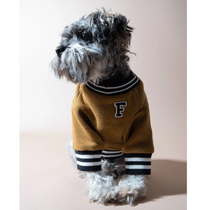 स्वादिष्ट मध्यम कुत्ते स्वेटर थर्मल बुना हुआ बिल्ली पसीना सूट सर्दियों के कोट पालतू जानवरों के कपड़े टलनेक पिल्ला जैकेट - Product Image 6