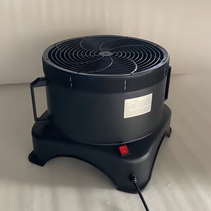 Nhà Máy Cung Cấp Trực Tiếp 33Cm 13Inch Inflatable Sao Fan Quảng Cáo Đám Cưới Nhảy Múa Trên Không Áp Lực Cao AC Chất Lượng Nhựa - Product Image 4