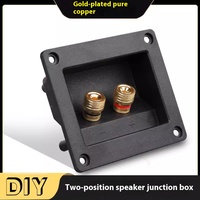 Plaque de bornes audio plaquée or à 2 voies, carrée à montage encastré, pour amplificateur de haut-parleur DIY