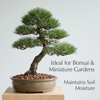 Nouvelles copeaux de corteau de pin flottants faits à la main, imperméables, de qualité supérieure, pour la couverture décorative des sols et des plantes d'extérieur