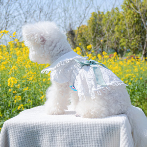 Vestido de Princesa de Verano para Mascotas, Ropa para Perros y Gatos, Vestidos de Princesa para Perros, Falda para Gatos, Camisa y Disfraz para Perros - Product Image 6