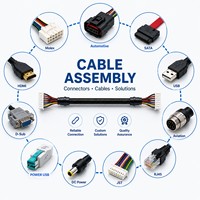 Cable Adaptador Tipo-C 3 en 1 Personalizado, Arnés de Cables con Aislamiento de PTFE/PVC/Nylon, Cableado 22AWG/24AWG/26AWG, Clasificación IP66 para Uso en Computadoras