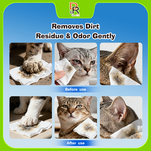 Lingettes nettoyantes pour animaux de compagnie à faible quantité minimale de commande pour le nettoyage de la boue des pattes du <span class=keywords><strong>chiot</strong></span> - Product Image 4