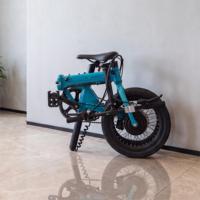Nouveau Vélo Électrique Pliant 16 Pouces 2026, 36V 250W, Léger (15KG) en Alliage d'Aluminium, Portable, Vélo de Ville avec Frein à Disque