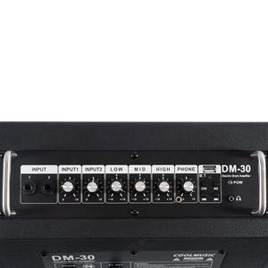 Amplificador de 30W de Acero Inoxidable con Woofer de 8 Pulgadas para Saxofón, Piano y Batería Electrónica - Product Image 6