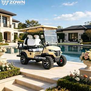 Voiturette de golf électrique homologuée pour la route, 2 à 4 places, haute vitesse, alimentée au lithium, pour le transport dans les hôtels et les parcs - Product Image 1