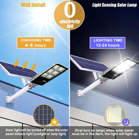 Lampu Jalan Tenaga Surya Baterai Lithium Outdoor Tahan Air Ip65 10w 20w 30w 50w 100w 200w 300w Lampu Jalan LED Solar Terpisah