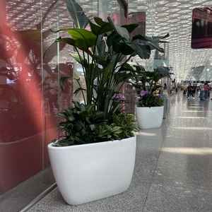 Jardinières en FRP blanches irrégulières - Pots à fleurs robustes en résine et <span class=keywords><strong>fibre</strong></span> <span class=keywords><strong>de</strong></span> <span class=keywords><strong>verre</strong></span> pour la décoration commerciale et domestique - Product Image 3
