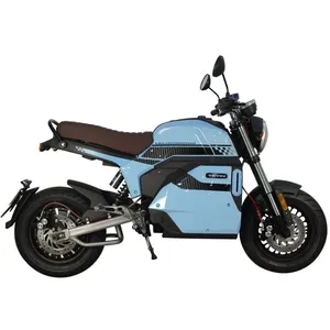 72v30ah Lithium Battery 2 Wheel Comfortable Motorcycle Electric Chinese Brands Motorcycle