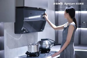 Modern Ahşap Modüler Mutfak Dolabı Tasarım Setlerini Yemek Odası ve Daire Kullanımı İçin Lavabolu Özelleştirin - Robam <span class=keywords><strong>Amblem</strong></span> Marka - Product Image 4