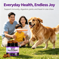 Multivitamin Hewan Peliharaan Anjing untuk Imunitas, Pencernaan, Kesehatan Sendi & Jantung, Suplemen Kunyah, Mendukung OEM & Label Pribadi