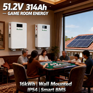 Batterie au lithium 51,2 V 48 V 314 Ah 16 kWh pour systèmes de stockage d'énergie solaire, montage mural avec roues - Product Image 5