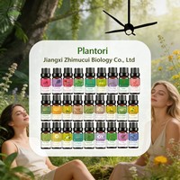 Diffuseur d'huiles sans eau en gros – Huiles essentielles 100 % pures et naturelles pour le raffermissement : Lavande, Menthe poivrée, Géranium, Citron vert, Rose, Bergamote