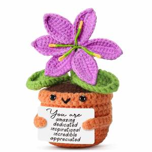 Fleur de lys violette au crochet avec carte d'affirmation, plante artificielle en pot faite à la main, positive, pour l'anniversaire d'un professeur, décoration intérieure - Product Image 1