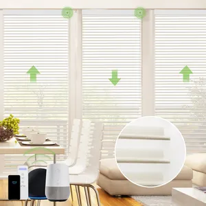 Fashion Style Triple Sheer Shade Smart Shangri-la Window Blinds Motorized Interior Adjustable Window Blinds