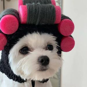 En stock, pelucas rizadas de estilo coreano, cortes de pelo y disfraces para perros, gatos y perros pequeños. - Product Image 5
