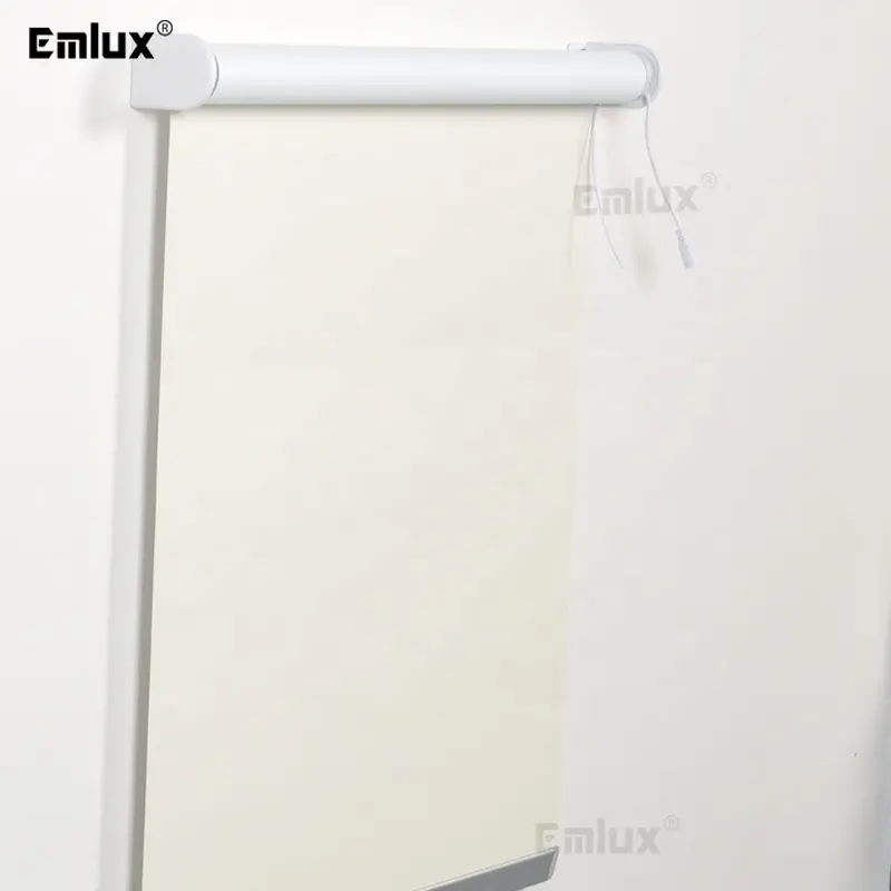 Custom Blind Experts Horizontal OEM Roller Blinds Manual Chain Curtains