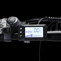 Vélo de montagne électrique 250W 26 pouces avec pneus larges, frein à disque mécanique, acier à haute teneur en carbone, 21 vitesses, 36V 8Ah, vélo de montagne rapide pour adultes