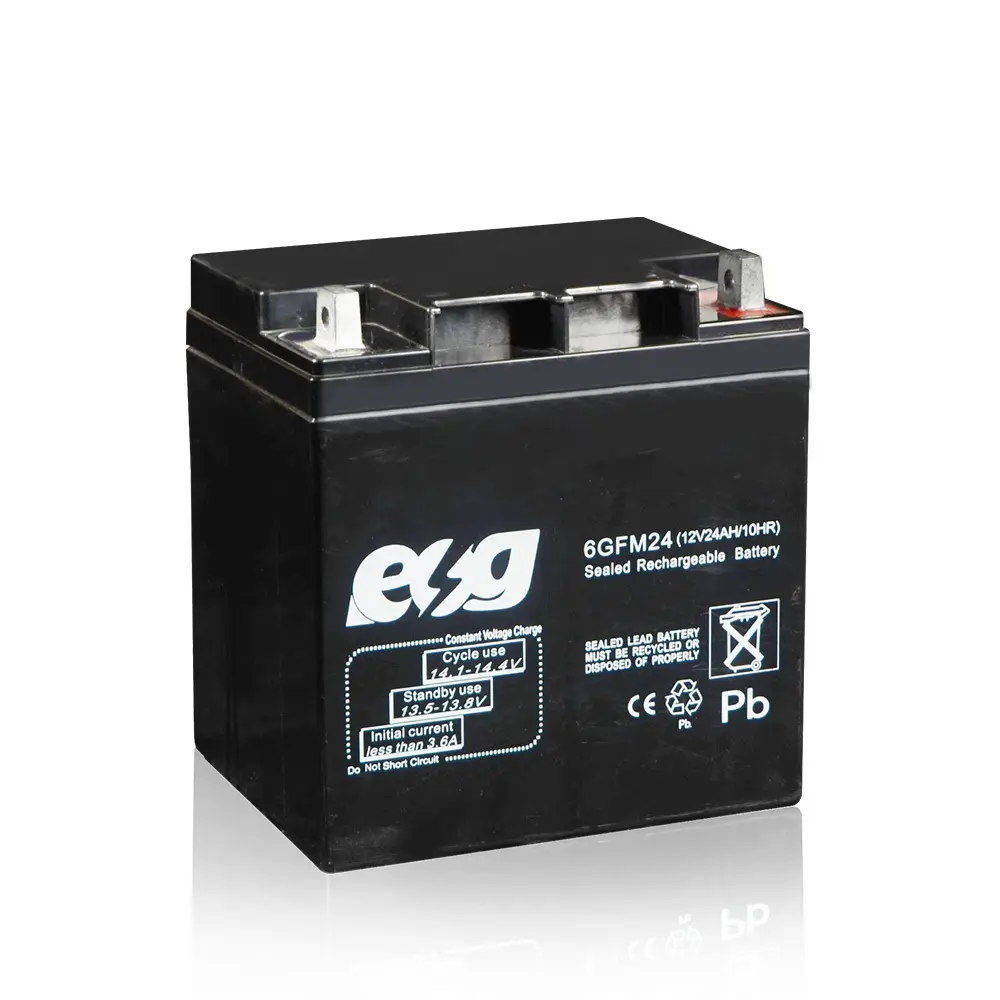 ESG 12v24Ah עופרת חומצה סוללות עבור שמש/E-אופניים עם BMS להחליף עופרת חומצה שמש סוללה