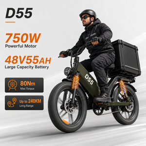 Bicicleta Eléctrica de Carga D55, 48V55Ah, Alta Velocidad, 750W, Neumático Grueso de 20 Pulgadas, 28 mph, EAPC, Todoterreno, para Repartidores de UberEats - Product Image 1