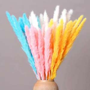 Decoración de Halloween Flor Hogar Arreglo floral Flor seca Reed Flower Bouquet Small Reed Grass <span class=keywords><strong>Pampas</strong></span> - Product Image 2