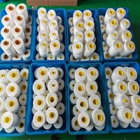 Hilo de Coser Industrial de Poliéster 302, 3000 Yardas, Colores, Hilo de Coser en Cono