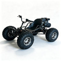 Kart à essence pour adultes, buggy tout-terrain, kart de drift, kart à quatre roues pour la plage, le sable, la montagne, les activités de plein air