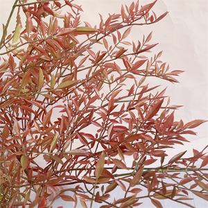 Árbol Artificial Minimalista de Nandina, Bambú Artificial Elegante para Decoración de Hogar u Oficina de Lujo, Vegetación Contemporánea para Interiores - Product Image 4