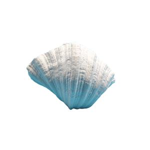 Mỹ Thủ Công Mỹ Nghệ Nhựa Handmade Tay Sơn San Hô Màu Trắng Vỏ Sò Cây Aquarium Cảnh Quan Bức Tượng 16X14X12Cm Cho Cá Cho - Product Image 1