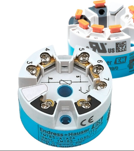 Série de thermomètres haute performance Endress Hauser TMT82, TMT82-AAA2AA1A1AAA1, TMT82-////// - Product Image 2